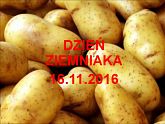 Dzień Ziemniaka