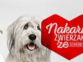 Akcja Nakarm Zwierzaka