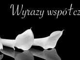 Łączymy się w Bólu