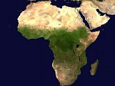 Zbiórka Nasion i Warzyw dla Afryki